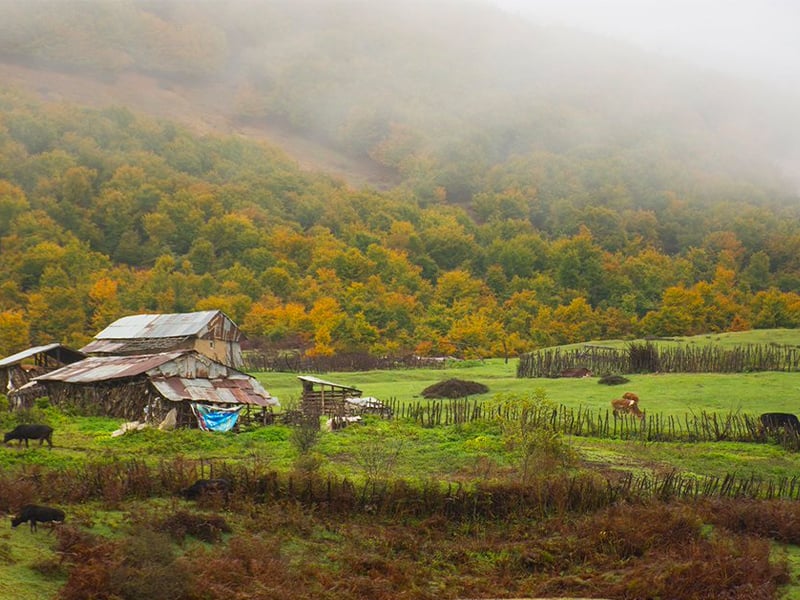 شهرستان سواد کوه