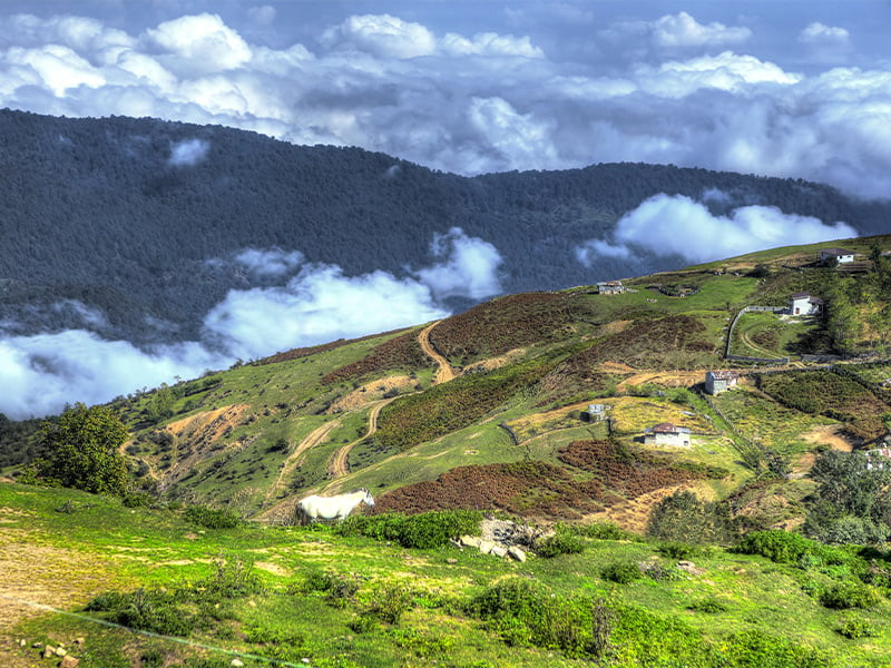 روستای فیل ‌بند